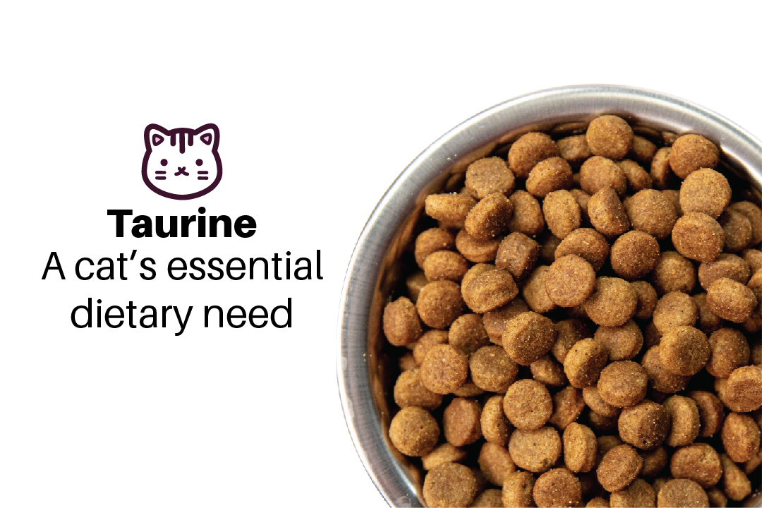 taurine supplement for cats dillons
